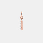 Load image into Gallery viewer, rose