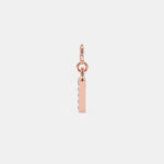Load image into Gallery viewer, rose