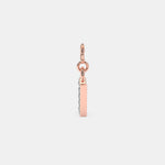 Load image into Gallery viewer, rose