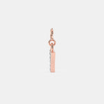 Load image into Gallery viewer, rose