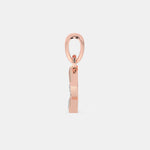 Load image into Gallery viewer, rose