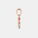Load image into Gallery viewer, rose