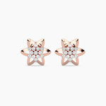 Load image into Gallery viewer, rose