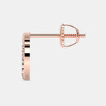 Load image into Gallery viewer, rose