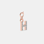 Load image into Gallery viewer, rose
