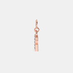 Load image into Gallery viewer, rose
