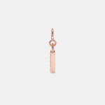 Load image into Gallery viewer, rose
