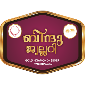Bindu logo